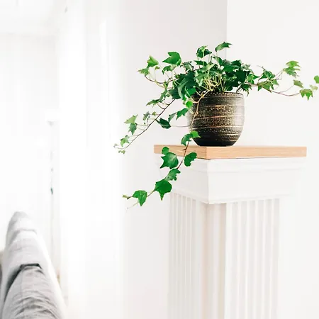 Castle Village * Krásnohorské Podhradie